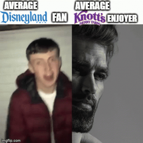 Average Disneyland Fan And Knotts Enjoyer GIF