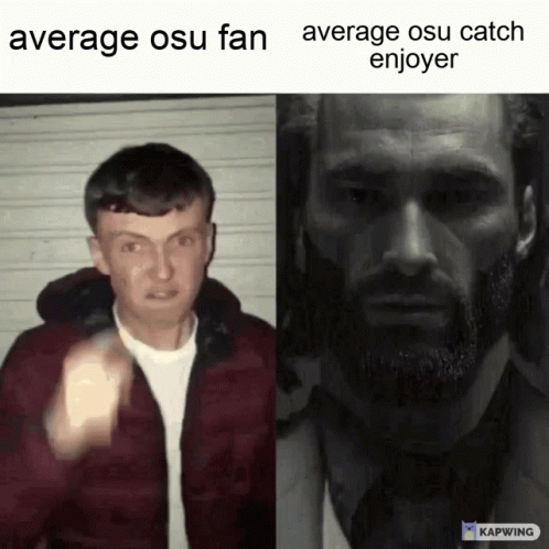 Average Osu Fan and Average Osu Catch Enjoyer