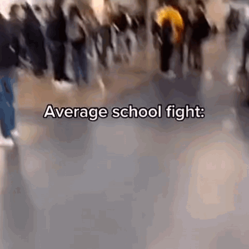 Average School Fight GIF