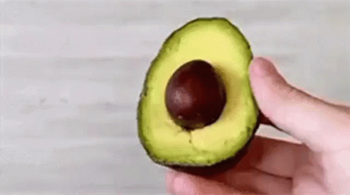 Avocado Fruit Seed Loop GIF