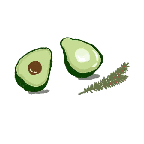 Avocados and Rosemary Drawing