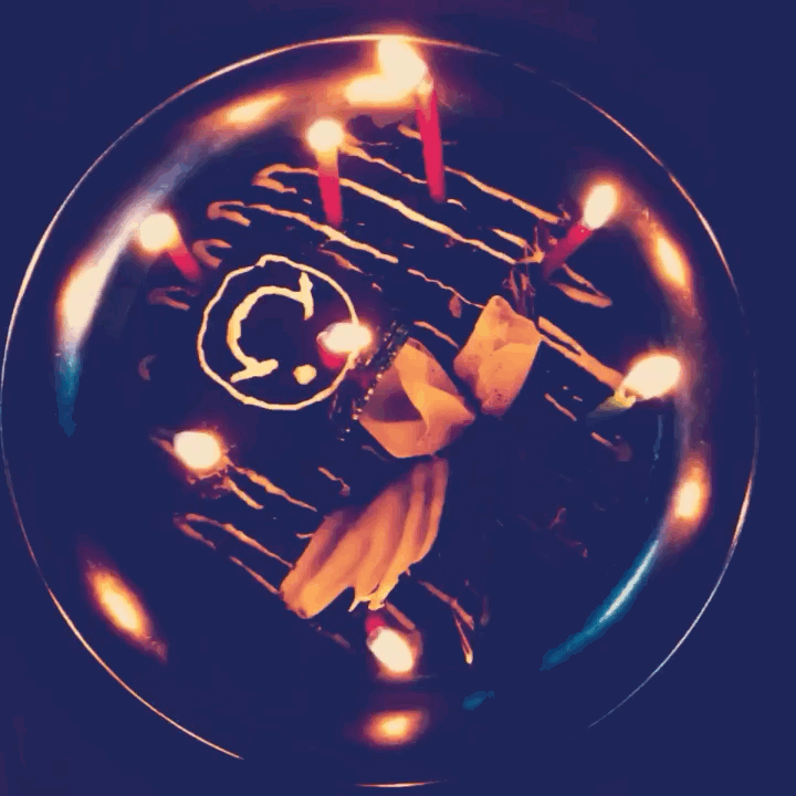 Awesome Birthday Party Chocolate Cake GIF