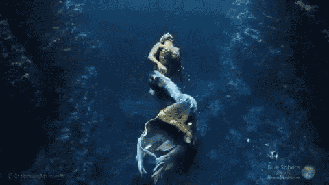 Awesome Mermaids Gif GIF