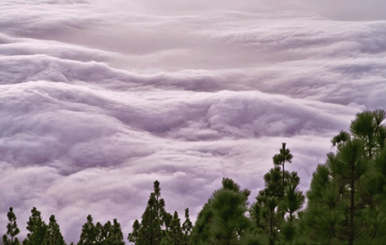 Awesome Surging Sea Of Clouds GIF