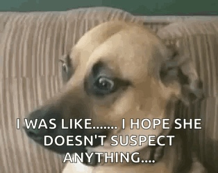 Awkward Stare GIF