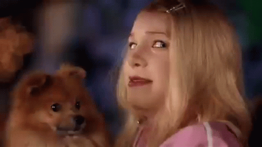 Awkward Undercover Kevin Copeland Holding Dog White Chicks GIF