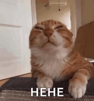 Aww Aww Cute Gif GIF