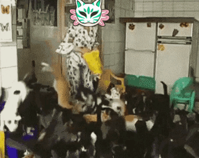 Axolittles Cat Lady Gif GIF