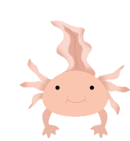 Axolotl Happy Sticker GIF