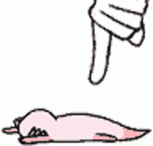 Axolotl Meme Flapping After Touching GIF