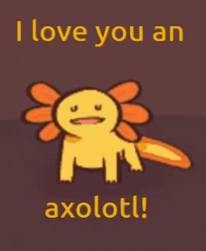 Axolotl Meme I Love You An Axolotl GIF