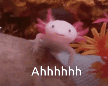 Axolotl Meme Screaming Ahhhhh GIF