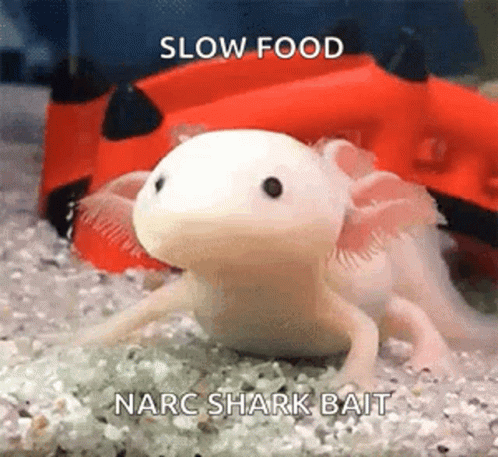 Axolotl Meme Slow Munch On Food As A Bait GIF