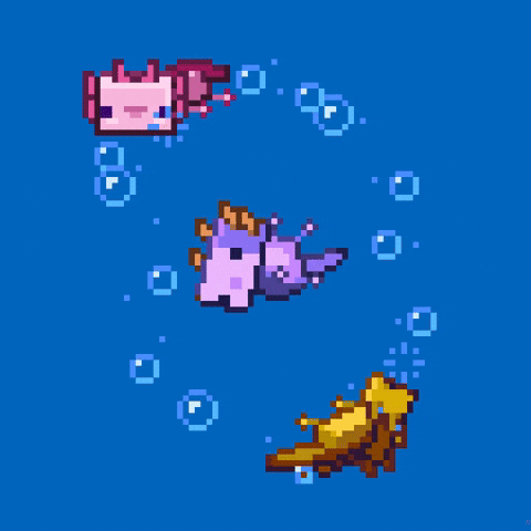 Axolotl Meme Swimming Around GIF