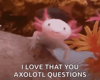 Axolotl Smile Gif GIF