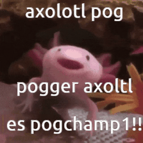 Axotol Pog Reaction GIF
