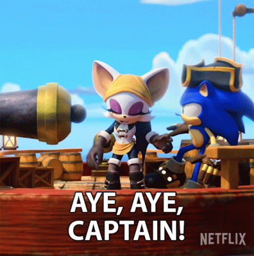 Aye Aye Capaint Rouge The Bat Salute GIF