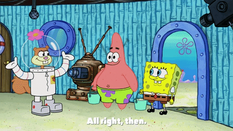 Aye Aye Captain Sandy GIF