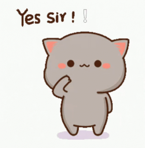 Aye Aye Gray Cat Yes Sir GIF