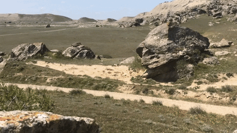 Azerbaijan Driving Formula One Car GIF