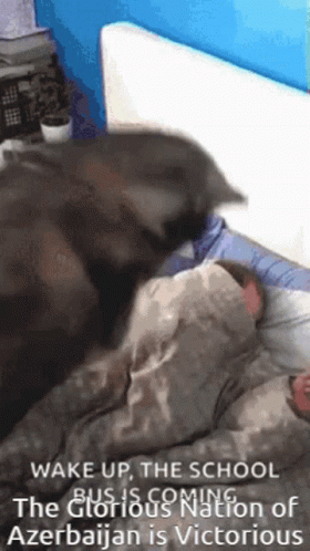 Azerbaijan Glorious Nation Victorious GIF