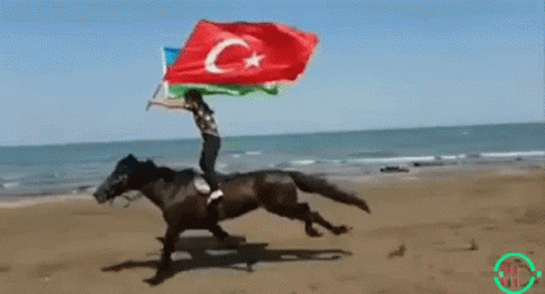Azerbaijan Turkey Flag Horse GIF