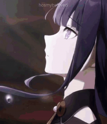 Baal Raiden Shogun Image Compilation GIF