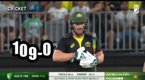 Babar Azam David Warner Handshake GIF