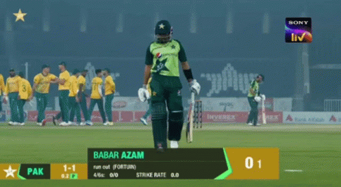 Babar Azam Duck King GIF