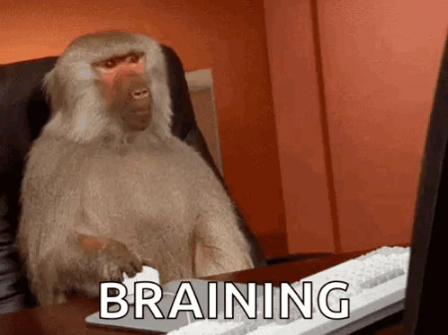 Baboon at Desk Saying Braining