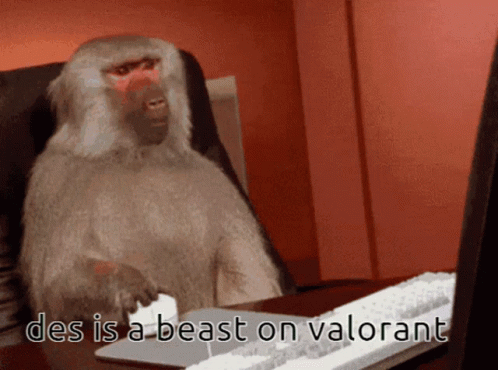 Baboon Says Des Is a Beast on Valorant