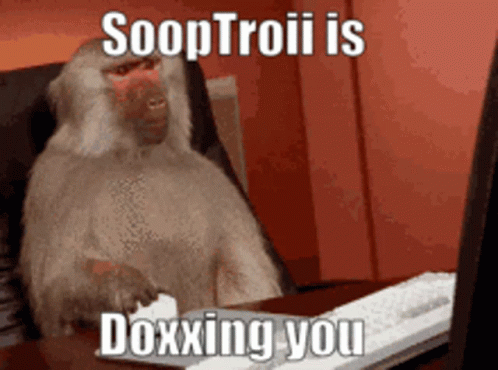 Baboon Sitting at Desk Typing on Laptop