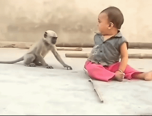 Baby and Monkey Sitting