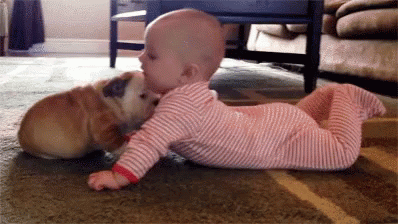 Baby And Puppy Fever GIF