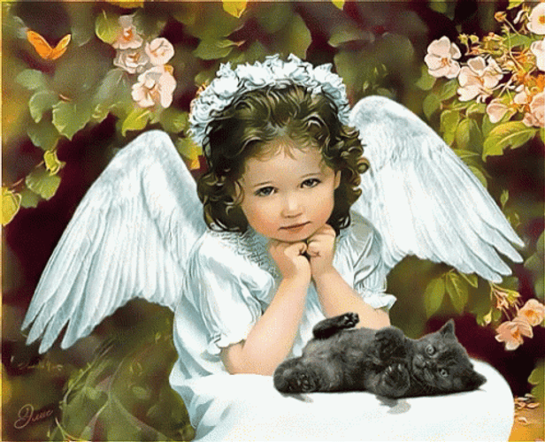 Baby Angel With Her Pet Cat GIF
