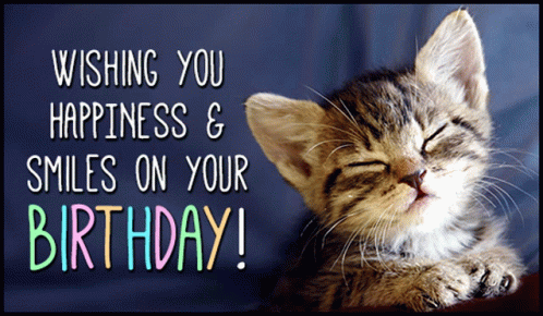Baby Cat Birthday Greeting GIF
