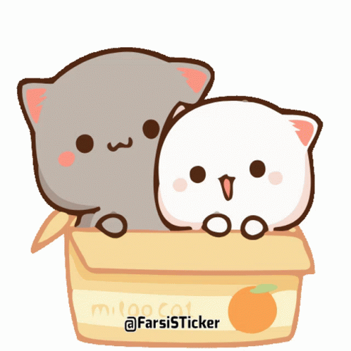 Baby Cat Chilling In The Box GIF
