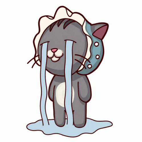 Baby Cat Crying A River GIF