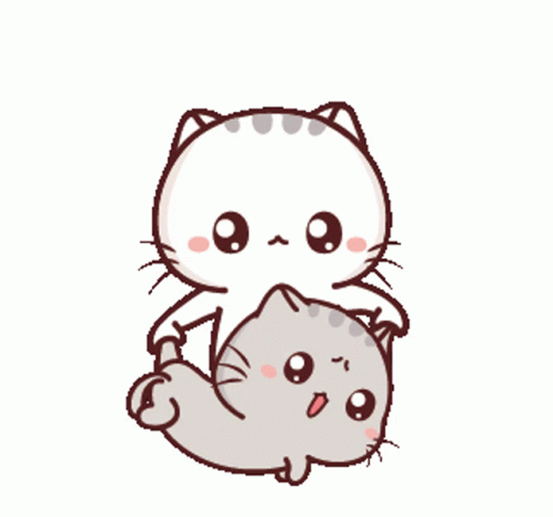 Baby Cat Flipped Up And Down GIF