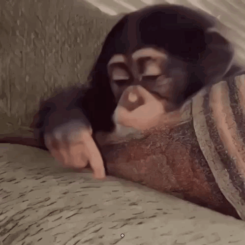 Baby Chimpanzee Laying on Blanket Pointing