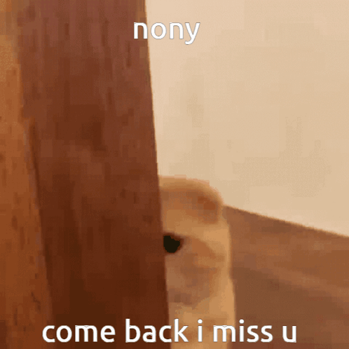 Baby Come Back I Miss You Cute Cat GIF