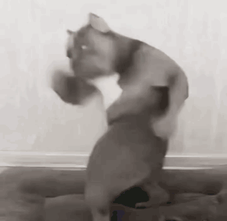 Baby Dancing In Room With Woman Holding Baby GIF