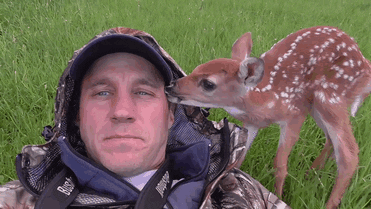 Baby Deer Licking Man GIF