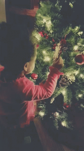 Baby Exploring Christmas Tree Wednesday GIF
