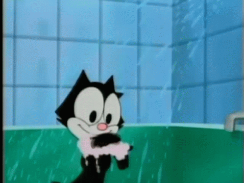 Baby Felix The Cat Showering GIF