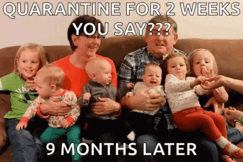 Baby Fever Quarantine Weeks GIF