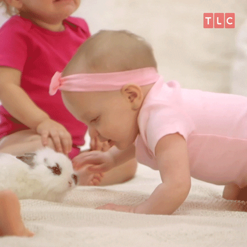 Baby Girl Kisses Bunny GIF