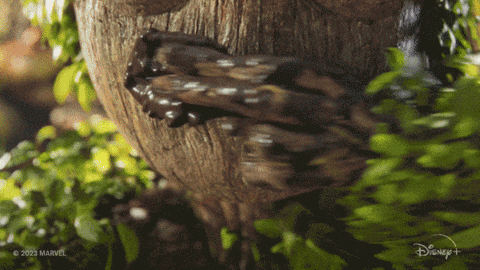 Baby Groot Wears A Dress GIF