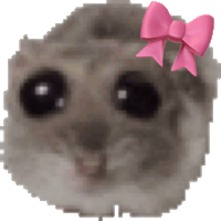Baby Hamster Sticker GIF