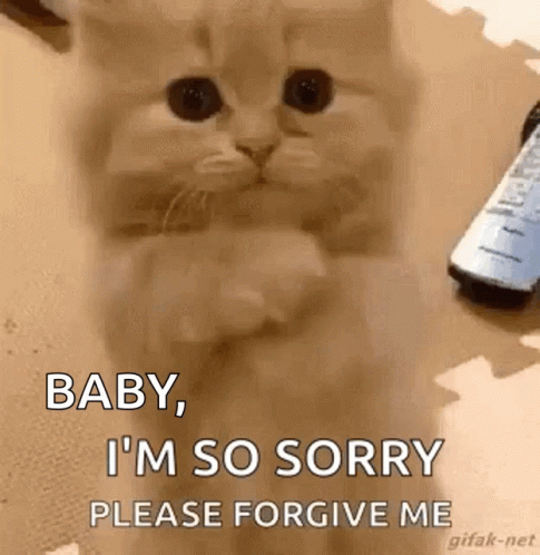 Baby I'm So Sorry Please Forgive Me GIF
